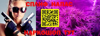 трава Пугачёв